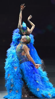 楊麗萍所屬文化公司籌劃上市 民族藝術保護與商業(yè)發(fā)展的雙贏之路