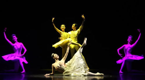 以美育人，以文化人 遼寧芭蕾舞團(tuán)專場(chǎng)演出點(diǎn)亮寧夏大學(xué)新華學(xué)院藝術(shù)星空